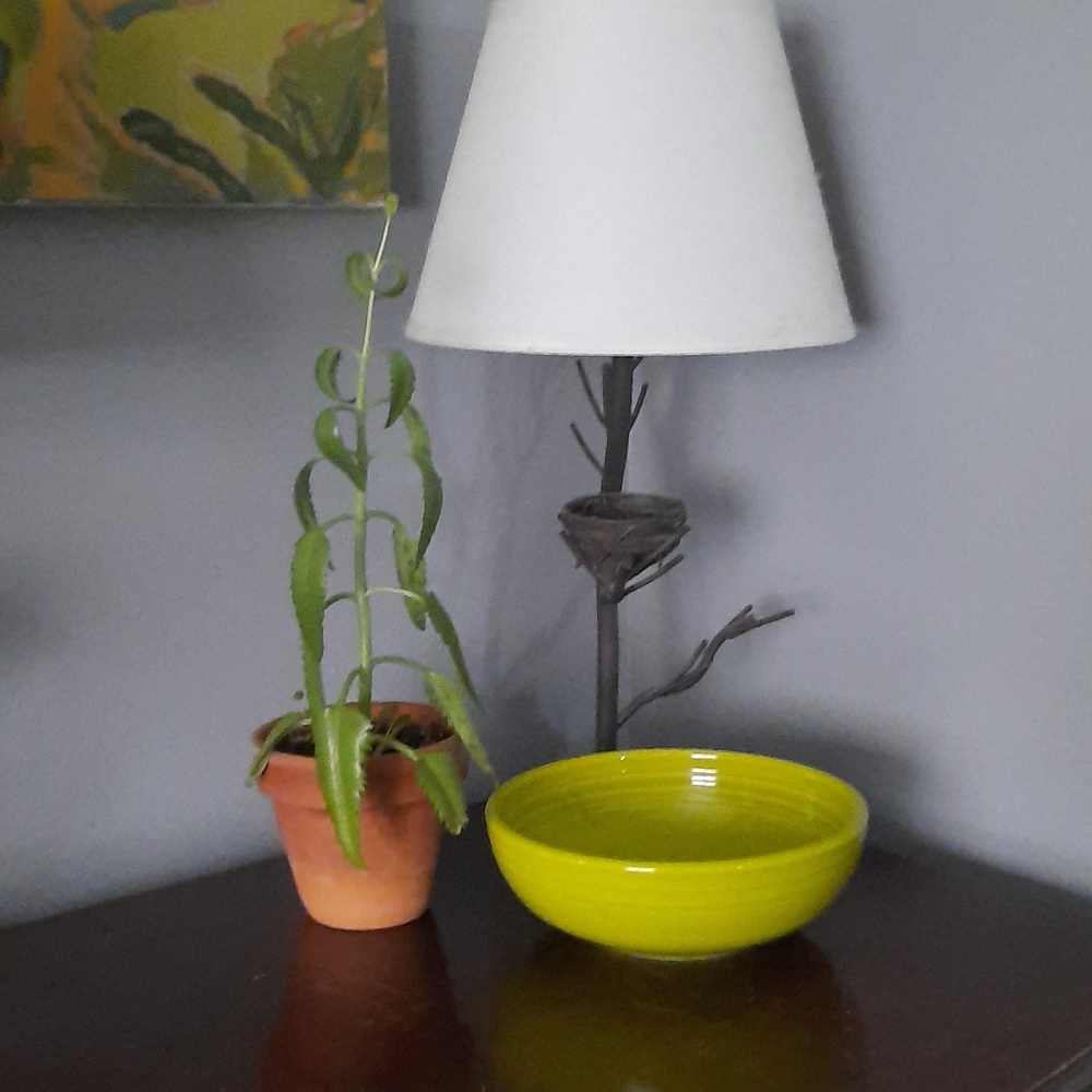 Fiestaware lemongrass medium bistro serving bowl